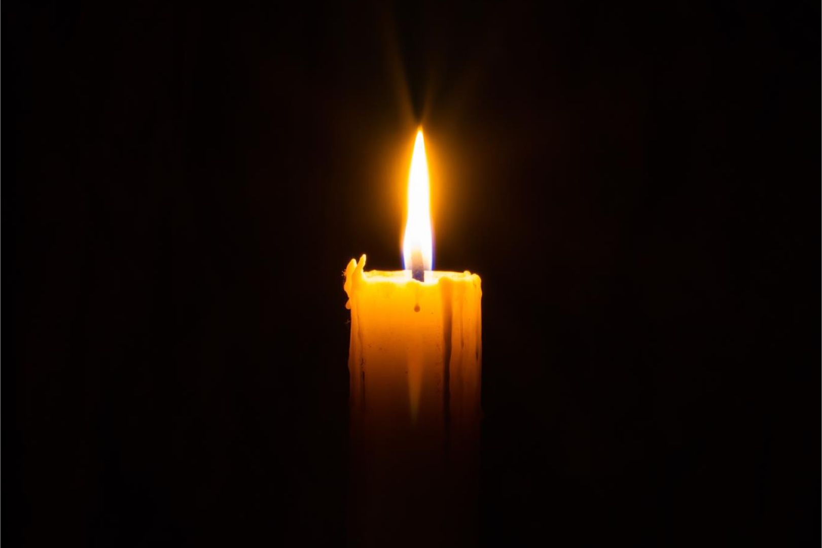 СмолГУ выражает соболезнования семьям погибших и пострадавших в «Крокус Сити Холле»
